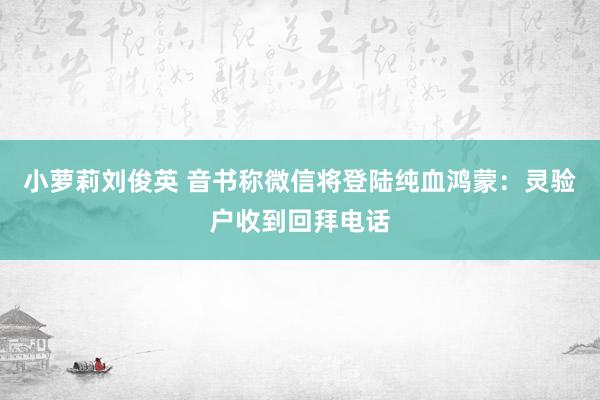 小萝莉刘俊英 音书称微信将登陆纯血鸿蒙：灵验户收到回拜电话