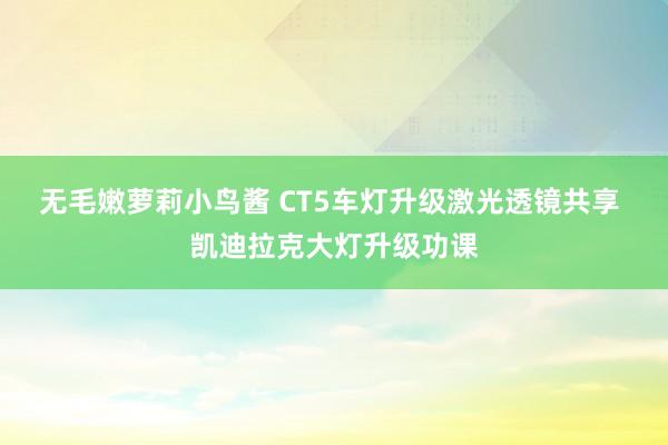 无毛嫩萝莉小鸟酱 CT5车灯升级激光透镜共享 凯迪拉克大灯升级功课