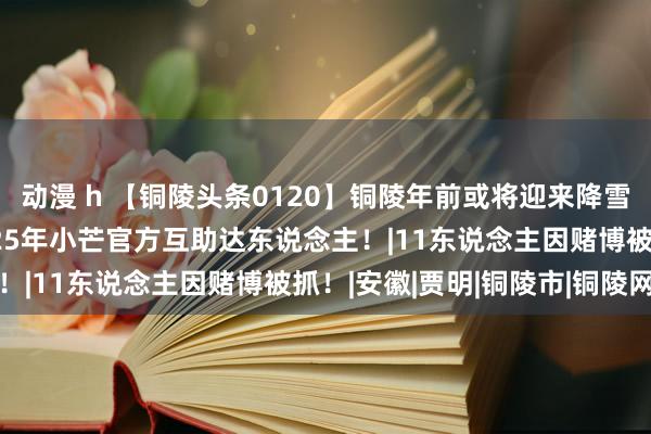 动漫 h 【铜陵头条0120】铜陵年前或将迎来降雪！|铜陵一女生成为2025年小芒官方互助达东说念主！|11东说念主因赌博被抓！|安徽|贾明|铜陵市|铜陵网
