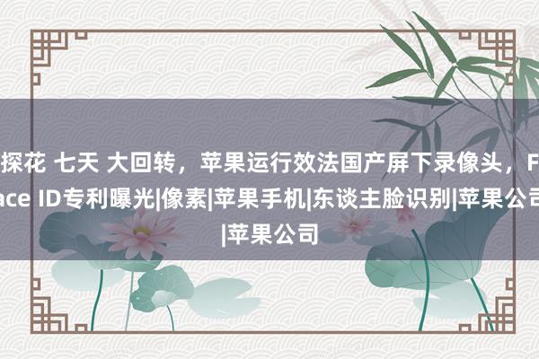 探花 七天 大回转，苹果运行效法国产屏下录像头，Face ID专利曝光|像素|苹果手机|东谈主脸识别|苹果公司